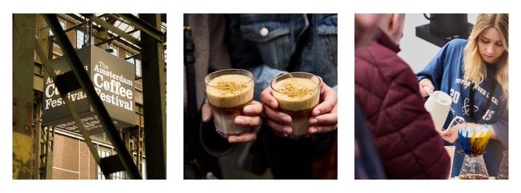 festival-info-3.png festival-info-3.png